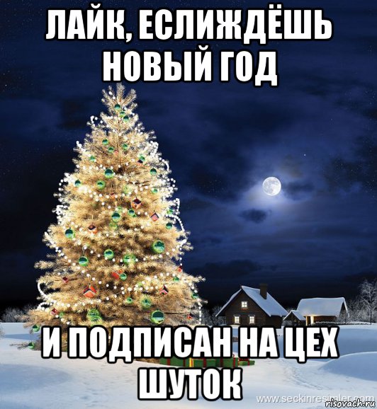 Жду нового лета