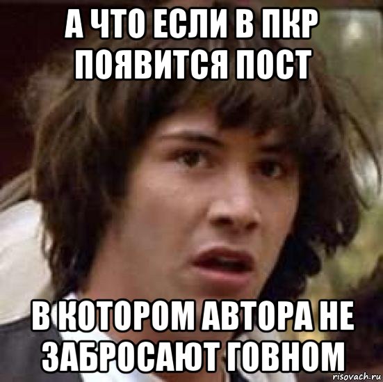 а что если в пкр появится пост в котором автора не забросают говном, Мем А что если (Киану Ривз)