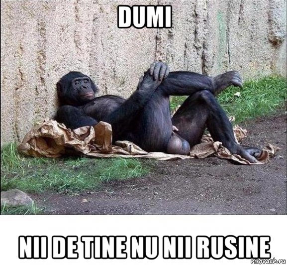 dumi nii de tine nu nii rusine, Мем а танцую я не очень