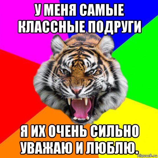 у меня самые классные подруги я их очень сильно уважаю и люблю., Мем  ДЕРЗКИЙ ТИГР