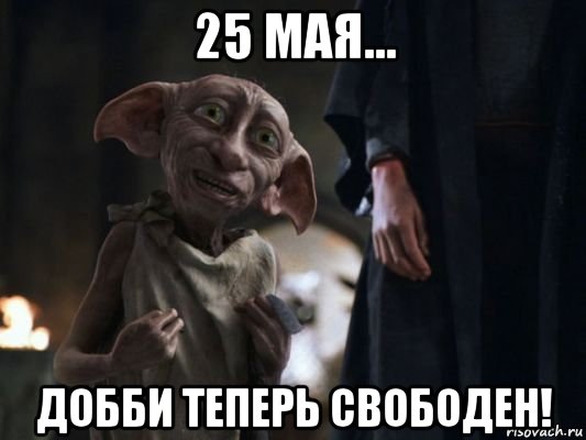 25 мая... добби теперь свободен!