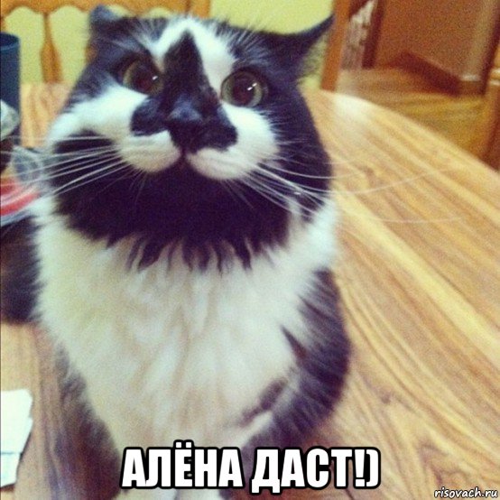  алёна даст!), Мем  довольный кот