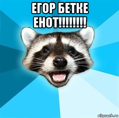 егор бетке енот!!!!!!!! 