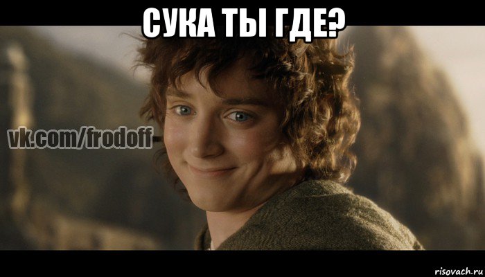 сука ты где? , Мем  Фродо