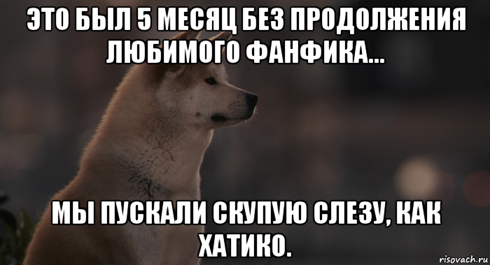 это был 5 месяц без продолжения любимого фанфика... мы пускали скупую слезу, как хатико., Мем Хатико