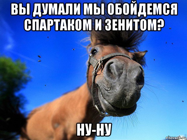 Лошадь мем. Ну и лошадь. Лошадь ну ну Мем. Почему Мем с лошадью. Почему Мем конь.