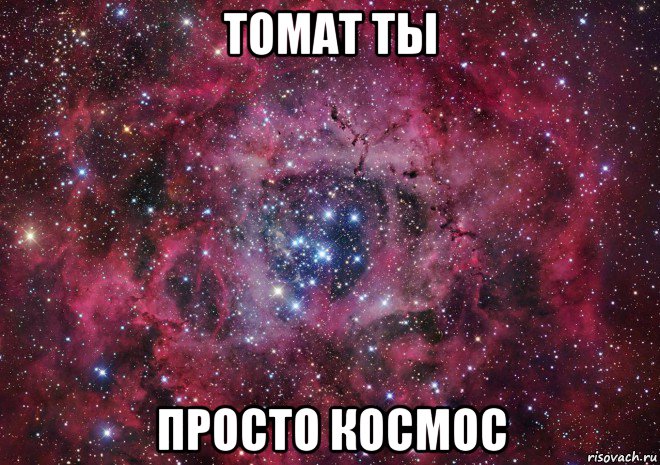 томат ты просто космос, Мем Ты просто космос