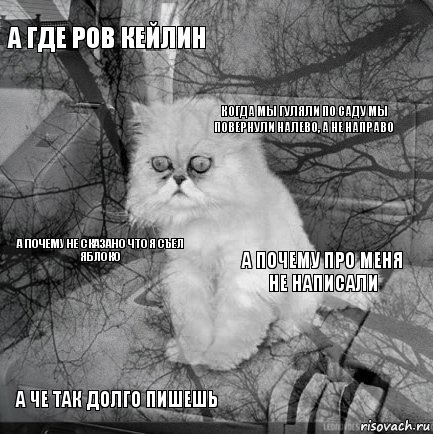 а где ров кейлин а почему про меня не написали когда мы гуляли по саду мы повернули налево, а не направо а че так долго пишешь а почему не сказано что я съел яблоко     , Комикс  кот безысходность