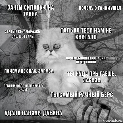 Зачем силовую на танка Ты куда прыгаешь, зараза Только тебя нам не хватало Удали панзар, дубина Почему не спас, зараза Почему с точки ушел Ты самый рачный берс Зачем в круг морозки зашел, тварь Тебя никогда не примут в Ордер Почему блок не поставил передо мной, Комикс  кот безысходность