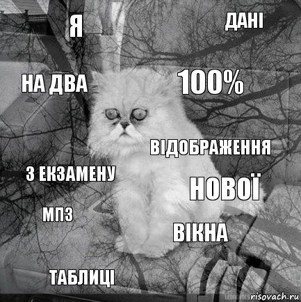 я нової 100% таблиці з екзамену дані вікна на два мп3 відображення, Комикс  кот безысходность