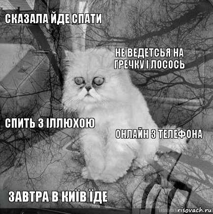 Сказала йде спати Онлайн з телефона Не ведетсья на гречку і лосось Завтра в Київ їде Спить з Іллюхою     , Комикс  кот безысходность