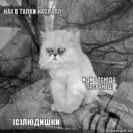 Нах в тапки насрал?! Иди отсюда засранец!  (c)людишки      , Комикс  кот безысходность