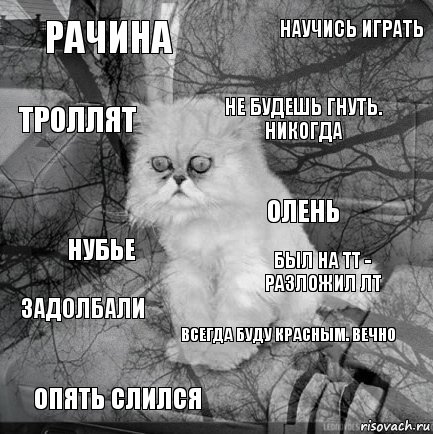 рачина был на тт - разложил ЛТ не будешь гнуть. никогда опять слился нубье научись играть всегда буду красным. вечно троллят задолбали олень, Комикс  кот безысходность