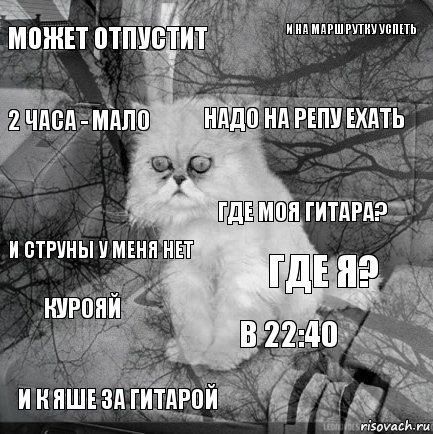 Может отпустит где я? Надо на репу ехать И к Яше за гитарой и струны у меня нет и на маршрутку успеть в 22:40 2 часа - мало курояй где моя гитара?, Комикс  кот безысходность