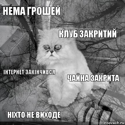 Нема грошей Чайна закрита Клуб закритий Ніхто не виходе Інтернет закінчився     , Комикс  кот безысходность