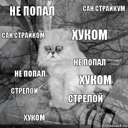 не попал хуком хуком хуком не попал сан страйкум стрелой сан страйком стрелой не попал, Комикс  кот безысходность