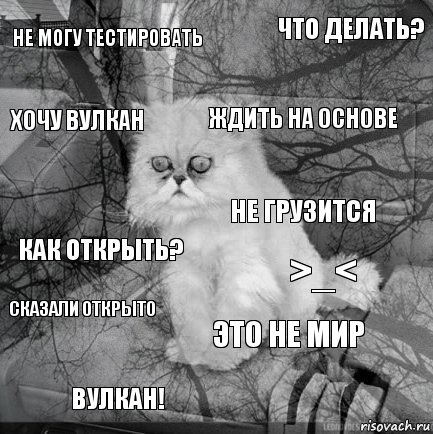 не могу тестировать >_< ждить на основе вулкан! как открыть? что делать? это не мир хочу вулкан сказали открыто не грузится, Комикс  кот безысходность