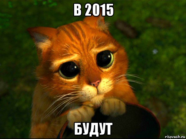 в 2015 будут, Мем кот из шрека