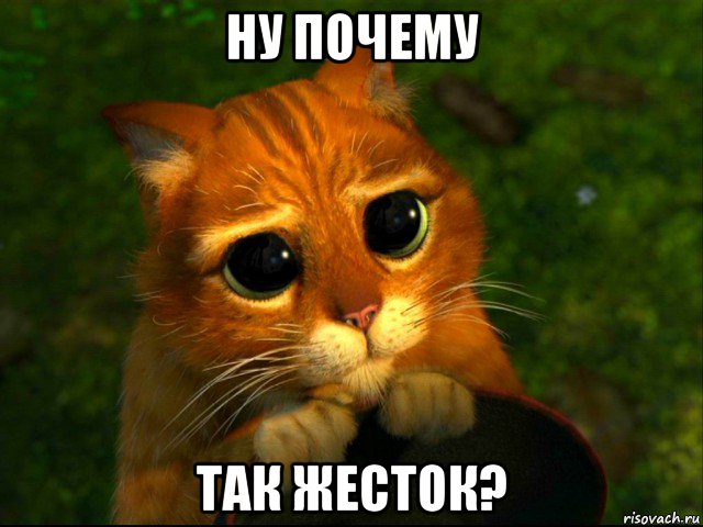 ну почему так жесток?, Мем кот из шрека