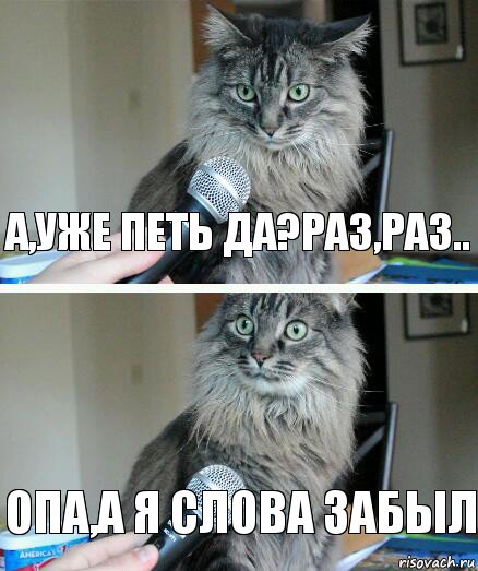 А,уже петь да?Раз,раз.. Опа,а я слова забыл, Комикс  кот с микрофоном