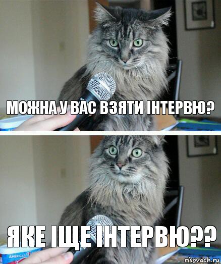 Можна у вас взяти інтервю? Яке іще інтервю??, Комикс  кот с микрофоном