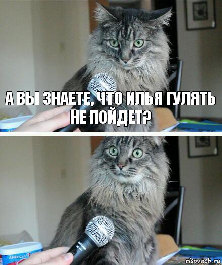 А вы знаете, что Илья гулять не пойдет? , Комикс  кот с микрофоном
