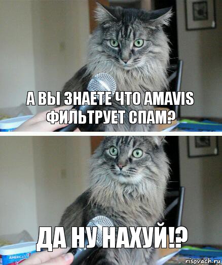 А вы знаете что amavis фильтрует спам? ДА НУ НАХУЙ!?, Комикс  кот с микрофоном