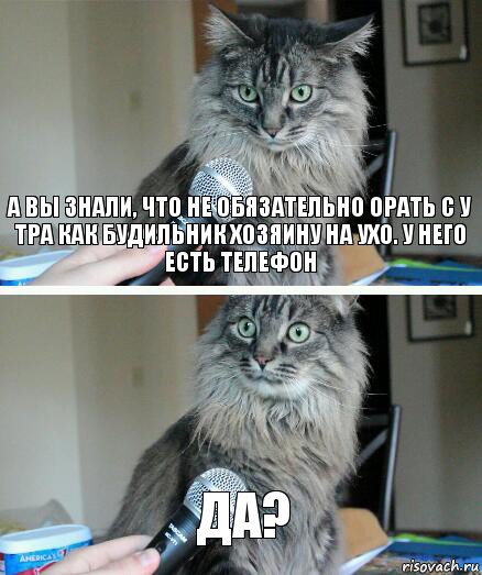 А вы знали, что не обязательно орать с у тра как будильник хозяину на ухо. У него есть телефон да?, Комикс  кот с микрофоном