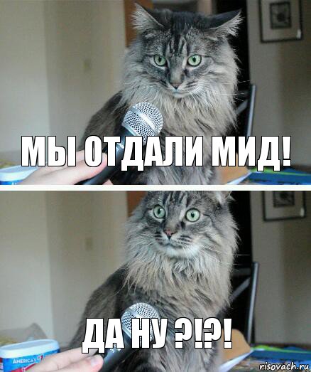 Мы отдали мид! ДА НУ ?!?!, Комикс  кот с микрофоном