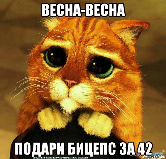 весна-весна подари бицепс за 42, Мем Котик из Шрека