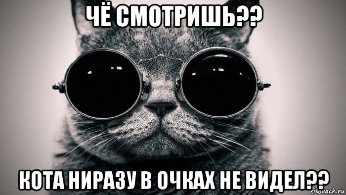 чё смотришь?? кота ниразу в очках не видел??, Мем Котоматрица