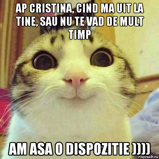 ap cristina, cind ma uit la tine, sau nu te vad de mult timp am asa o dispozitie )))), Мем       Котяка-улыбака