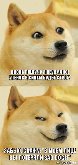 Вновь пошучу я неудачно!
Утенок в синем будет строг! Забью, скажу: "В моем лице вы потеряли SAD DOGE!"