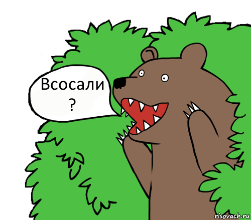 Всосали ?, Комикс медведь из кустов