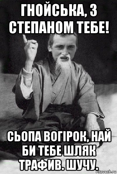 гнойська, з степаном тебе! сьопа вогірок, най би тебе шляк трафив. шучу., Мем Мудрий паца