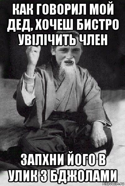 как говорил мой дед, хочеш бистро увілічить член запхни його в улик з бджолами, Мем Мудрий паца