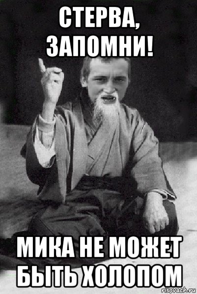 стерва, запомни! мика не может быть холопом, Мем Мудрий паца