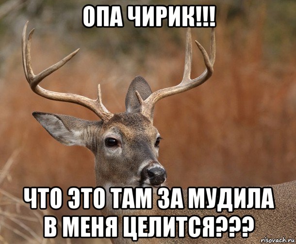 опа чирик!!! что это там за мудила в меня целится???, Мем  Наивный Олень v2