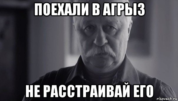 поехали в агрыз не расстраивай его, Мем Не огорчай Леонида Аркадьевича