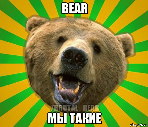 bear мы такие, Мем Нелепый медведь