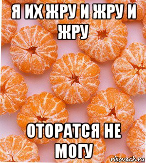 я их жру и жру и жру оторатся не могу