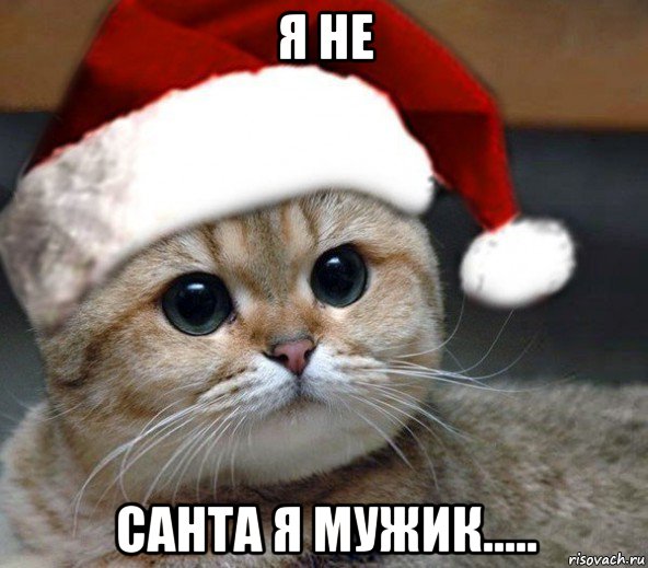 я не санта я мужик.....