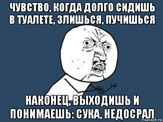 чувство, когда долго сидишь в туалете, злишься, пучишься наконец, выходишь и понимаешь: сука, недосрал, Мем Ну почему