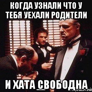 Уезжать отец. Когда родители уехали. Когда узнал что родители уехали. Когда родители уехали Мем. Когда свалили родители.