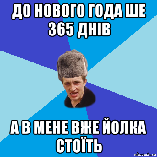 до нового года ше 365 днів а в мене вже йолка стоїть, Мем Празднчний паца