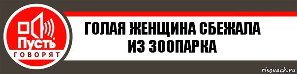 Голая женщина сбежала из зоопарка, Комикс   пусть говорят