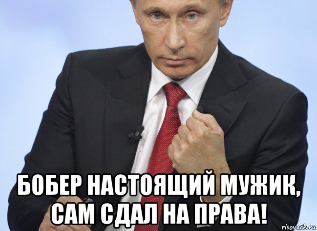  бобер настоящий мужик, сам сдал на права!, Мем Путин показывает кулак