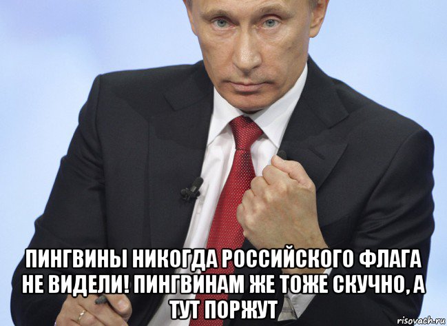  пингвины никогда российского флага не видели! пингвинам же тоже скучно, а тут поржут, Мем Путин показывает кулак