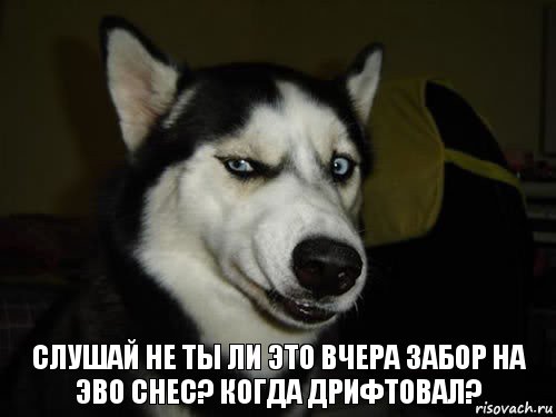 Слушай не ты ли это вчера забор на эво снес? Когда дрифтовал?, Комикс  Собака подозревака