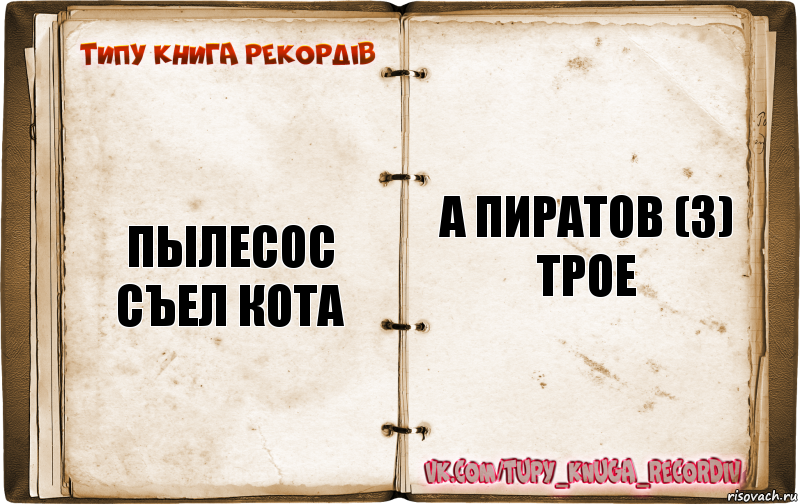 пылесос съел кота а пиратов (3) трое